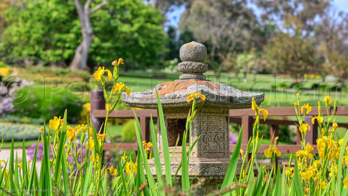 Peter Bellingham Photography Japanese Garden - Cowra